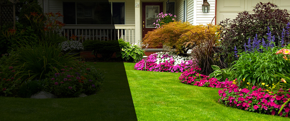 Walnut Grove Landscapers