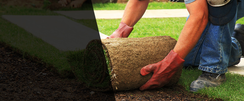 Walnut Grove Landscapers